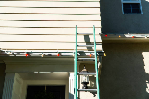 Best Brick Veneer Siding  in Julian, CA