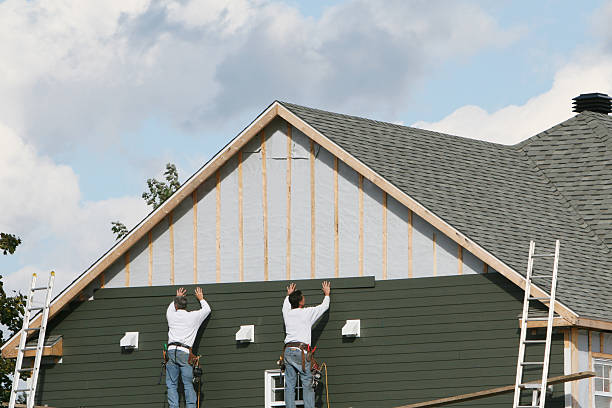 Best Custom Siding Design  in Julian, CA